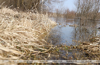 На каких реках Беларуси повысились уровни воды, рассказали в Белгидромете