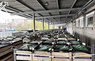 Более 80 тонн груш пытались незаконно вывезти из Беларуси 