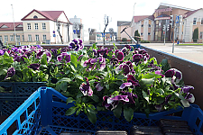 Кто заботится о чистоте и порядке в городе.
