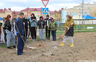 Посадили клёны, посеяли газон – работники разных организаций наводили порядок на пустыре по улице Кветковой 