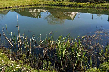 В Островце в искусственном водоёме утонул человек
