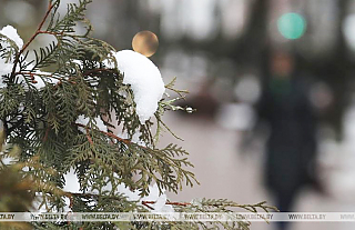 Снег и туман ожидаются в Беларуси 27 января