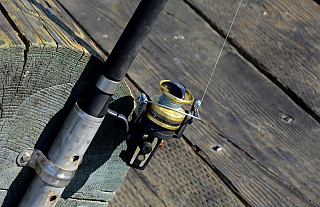 С 15 апреля по 30 мая в Гродненской области действует запрет на лов судака