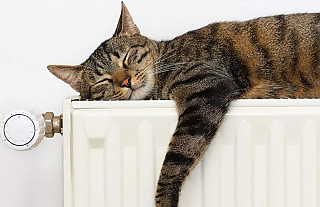 Решение Островецкого райисполкома №129 от 09.02.2026г. "Об установлении нормативов фактического потребления тепловой энергии"