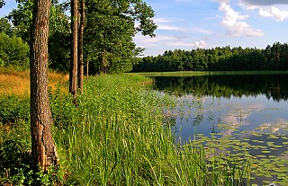 Эффективно ли работает республиканский ландшафтный заказник "Сорочанские озера"?