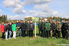 Парк в честь 80-летия освобождения Республики Беларусь от немецко-фашистских захватчиков заложили в Островце