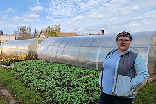 Субсидия на выращивание овощей: будем с помидорами