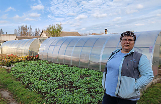 Субсидия на выращивание овощей: будем с помидорами