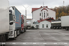 "Ситуация критическая". Сотни литовских фур застряли в Беларуси из-за закрытия границы Литвой