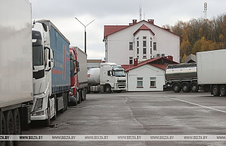 "Ситуация критическая". Сотни литовских фур застряли в Беларуси из-за закрытия границы Литвой