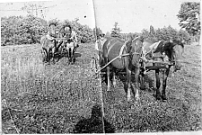 Об истории коллективизации в Островецком районе рассказывает Виталий Бондарик