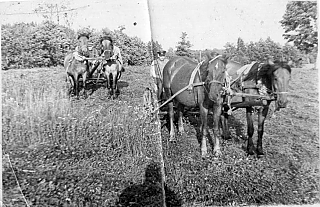 Об истории коллективизации в Островецком районе рассказывает Виталий Бондарик