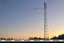 Как в Беларуси развивают инфраструктуру сотовой связи, рассказали в профильном ведомстве