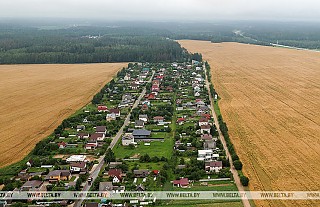В Беларуси работают над внедрением агродронов в промышленных масштабах