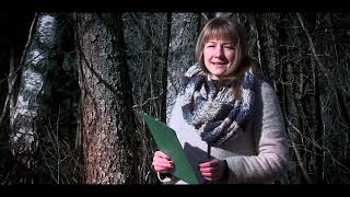 Фільм 14. Кропкі памяці. Урочышча Стрыпішкі Астравецкага раёна. Брацкая магіла мірных жыхароў