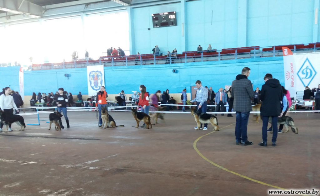20180318_095829.jpg