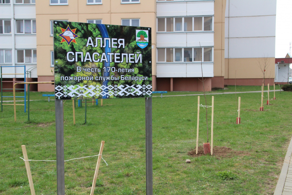 IMG_8734.JPG