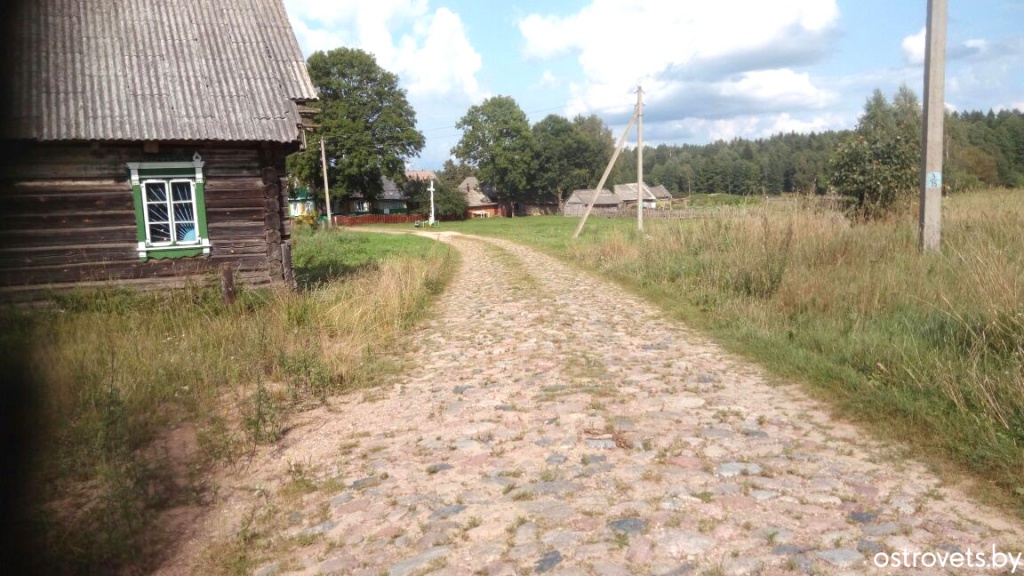 image (8).jpg