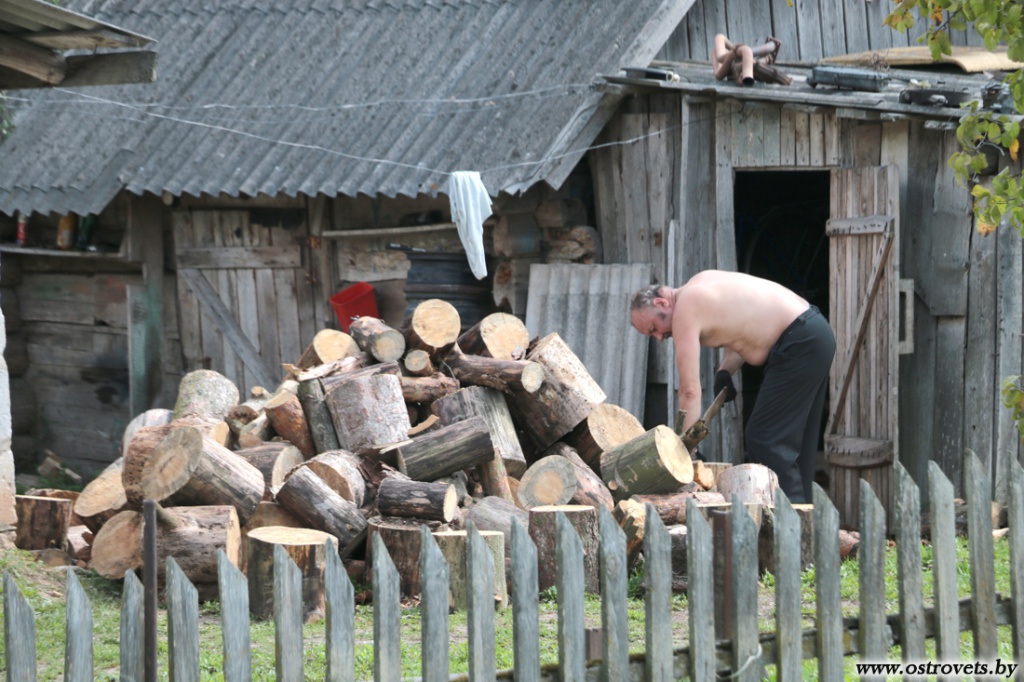 IMG_8499.jpg