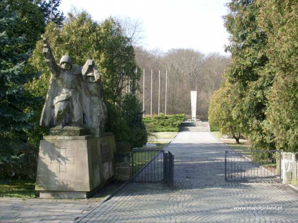 zdjecia-05133.jpg