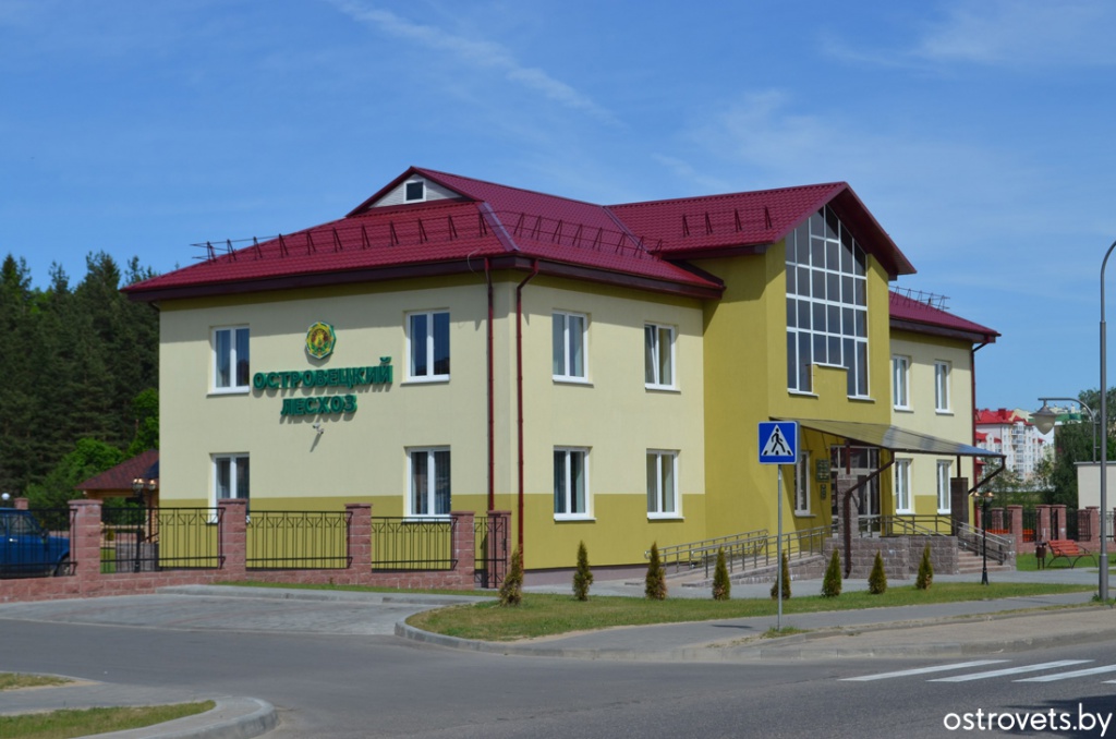 775.jpg