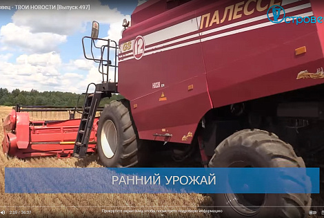 ТВой Островец - ТВОИ НОВОСТИ [Выпуск 497]