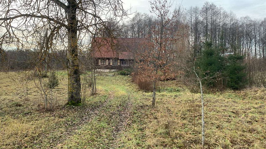 Пачатковая школа