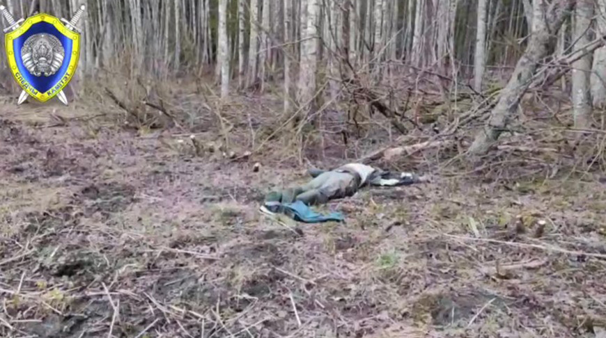 Скриншот видео СК